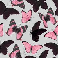 vetor desatado padronizar com Alto detalhado trópico borboleta
