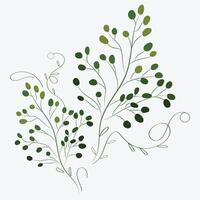 verde folha com branco fundo vetor