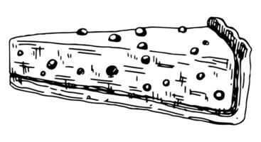 peça do mirtilo bolo de queijo. solteiro esboço do doce comida, sobremesa. mão desenhado vetor ilustração dentro retro estilo. esboço clipart isolado em branco fundo.