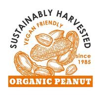 orgânico amendoim sustentável colhido vegano produtos vetor