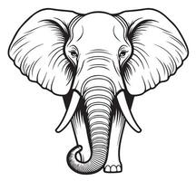 elefante esboço mão desenhado dentro rabisco estilo vetor ilustração