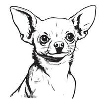 cabeça do uma chihuahua cachorro mão desenhado esboço dentro gravação estilo vetor ilustração