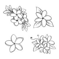 botânico linear flor definir. abstrato criativo floral coleção, minimalista florido arte para imprimir, tatuagem. vetor ilustração