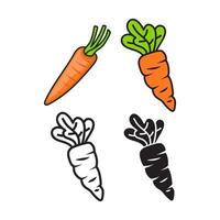 conjunto do cenoura legumes ícone vetor