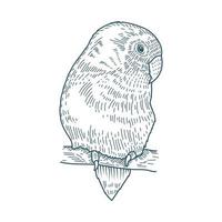 ícone de estilo de desenho de personagem realista de pássaro vetor