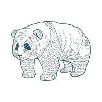 urso panda ícone de estilo desenhado personagem realista vetor