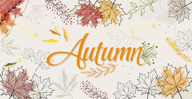folhas de bordo de outono em um fundo colorido - vetor