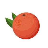 suculento e saudável vermelho Toranja com verde folhas isolado em branco fundo. vetor fruta ilustração dentro plano estilo. verão clipart para Projeto do cartão, bandeira, folheto, oferta, poster, ícones