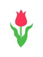 vermelho tulipa ilustração.vetor cor ícone isolado em branco fundo. vetor