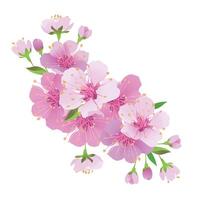 realista japonês cereja sakura ramo com Rosa flores vetor ilustração do alegre flores composição para uma mãe dia cumprimento cartão ou Casamento convite. hanami festival dentro Japão.