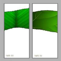 banners sazonais verticais vetor