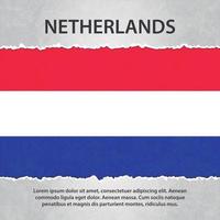 bandeira da holanda em papel rasgado vetor