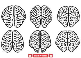 ai gerado intelectual impressões diverso cérebro silhueta desenhos para educacional cartazes e infográficos vetor