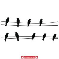 suspenso canções melódico pássaros em fio vetor desenhos