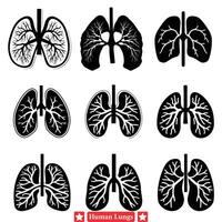detalhado vetor gráficos do humano pulmões para usar dentro anatomia ensino Auxilia