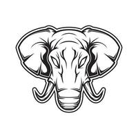 elefante cabeça ilustração vetor