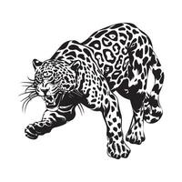 ataque leopardo ilustração abstrato vetor, leopardo branco fundo vetor
