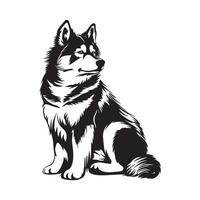 akita cachorro, vetor ilustração, projeto, arte