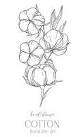 mão desenhado algodão flores linha arte ilustração. algodão bolas isolado em branco. floral linha arte. algodão plantar Preto e branco ilustração. bem linha algodão ilustração. vetor