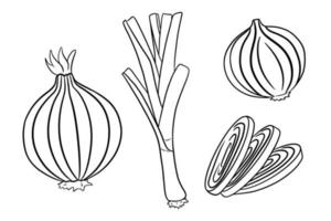 conjunto de arco. cebolas verdes frescas e cebolas inteiras e cortadas. vetor