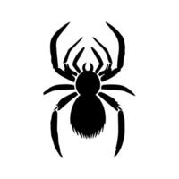 arte perigo aranha preto branco tatuagem elemento vetor modelo animal