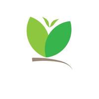 simples verde folha logotipo vetor Projeto