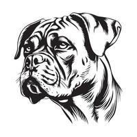 boxer cachorro cabeça vetor arte e gráficos