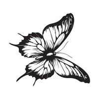 borboleta em branco fundo vetor imagem
