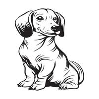 dachshund vetor arte e gráficos