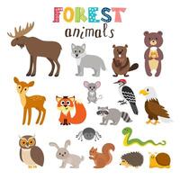 conjunto do fofa floresta animais dentro vetor. bosque. desenho animado estilo vetor