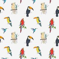 lindo tropical desatado padronizar com diferente exótico pássaros sentado em árvore galhos e vôo em branco fundo. colorida vetor ilustração para papel de parede, tecido imprimir, invólucro papel.