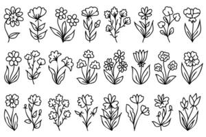 coleção Primavera flores natural folhas e ervas dentro linha estilo. mão desenhado linha arte flores mínimo estilo Flor ilustração desenhos para logotipo, casamento, convite, logotipo, tatuagem, decorações vetor