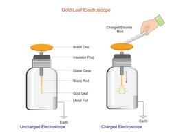 uma ouro folha eletroscópio detecta elétrico cobranças de a divergência do fino ouro folhas.usadas dentro física Educação para demonstrar a princípios do eletrostática. vetor