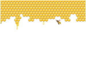 abelha colmeia, abstrato favos de mel e abelhas em uma branco fundo. ilustração. vetor