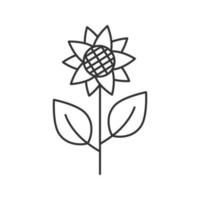 girassol, ícone linear de helianthus. ilustração de linha fina de planta com flor. símbolo de contorno de agricultura. desenho de contorno isolado de vetor