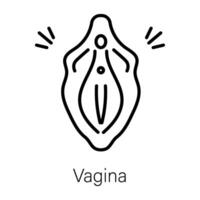 na moda vagina conceitos vetor