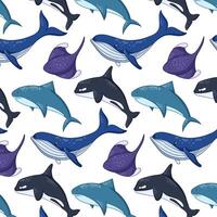 desenho animado submarino e oceano animais padronizar. selvagem marinho criaturas vida Tubarão, azul baleia, arraia e assassino baleia. vetor ilustração em uma branco fundo.