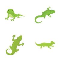 lagartixa ícones conjunto desenho animado vetor. fofa desenho animado verde lagarto vetor