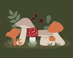 ilustração de diferentes cogumelos em crescimento com frutas e grama em um fundo verde vetor