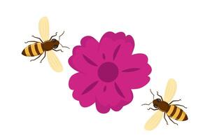 feliz abelha vôo. querida abelha vôo para a flores colecionar néctar. vetor ilustração.