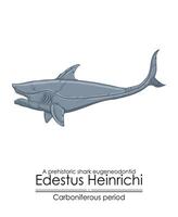 edesto Heinrichi, uma pré-histórico Tubarão vetor