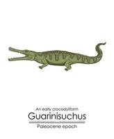 a cedo crocodiliforme guarinisuchus a partir de paleoceno época. vetor