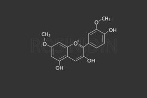 rosinidina molecular esquelético químico Fórmula vetor