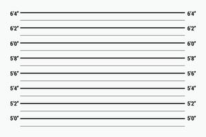criminoso altura retrato falado linhas para polícia verificação vetor