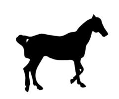 silhueta negra de um cavalo em um fundo branco. ilustração vetorial vetor