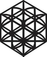 abstrato elegância vetor logotipo Projeto com Preto abstrato geométrico formulários infinito ângulos elegante Preto ícone representando vetor logotipo com geométrico formas