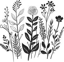 Eterno pétalas elegante Preto ícone exibindo botânico florais naturezas harmonia chique vetor logotipo Projeto com Preto floral elementos