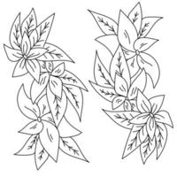 delicado ramo de flores com pétalas largas e folhas ornamentadas, página para colorir ou elemento decorativo para um cartão postal vetor