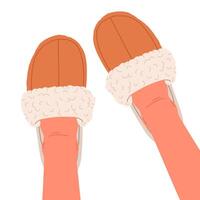 pés vestindo casa calçados. fêmea pés dentro caloroso e confortável doméstico chinelos, acolhedor pele de carneiro interior sapatos plano ilustração. fofa casa sapatos em pés vetor