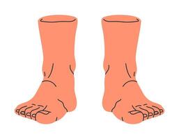 em pé pernas. humano nu pés, descalço pernas dentro frente visualizar, nu par do pernas, masculino ou fêmea pés dentro em pé posição plano ilustração. mão desenhado pés vetor